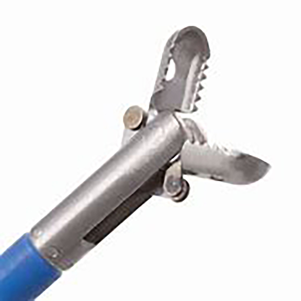 Alligator Jaw Biospy Forceps