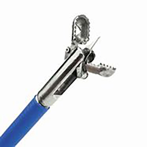 Alligator Jaw With Spike