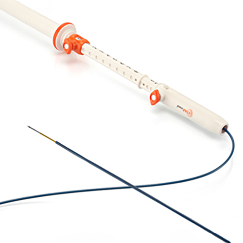 EUSRA/ELRA Radiofrequency Ablation