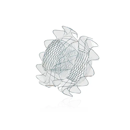 Niti-S™ EUS Stent